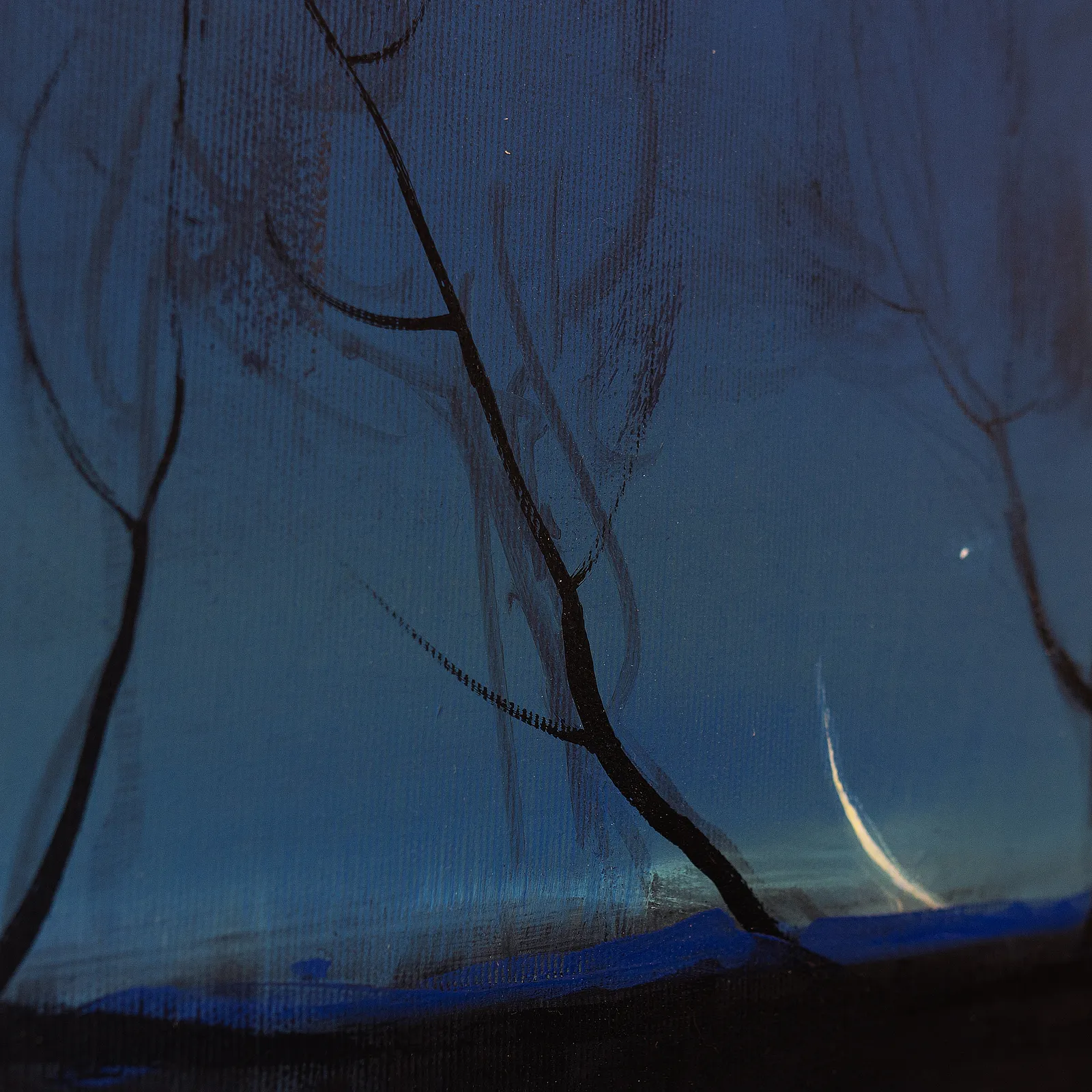 Зображення "Moon light" від Igor Nekraha, розмір: 30х50, медіум: Живопис, серія: Acrylics, ціна: $400 Фото 3 з 4.