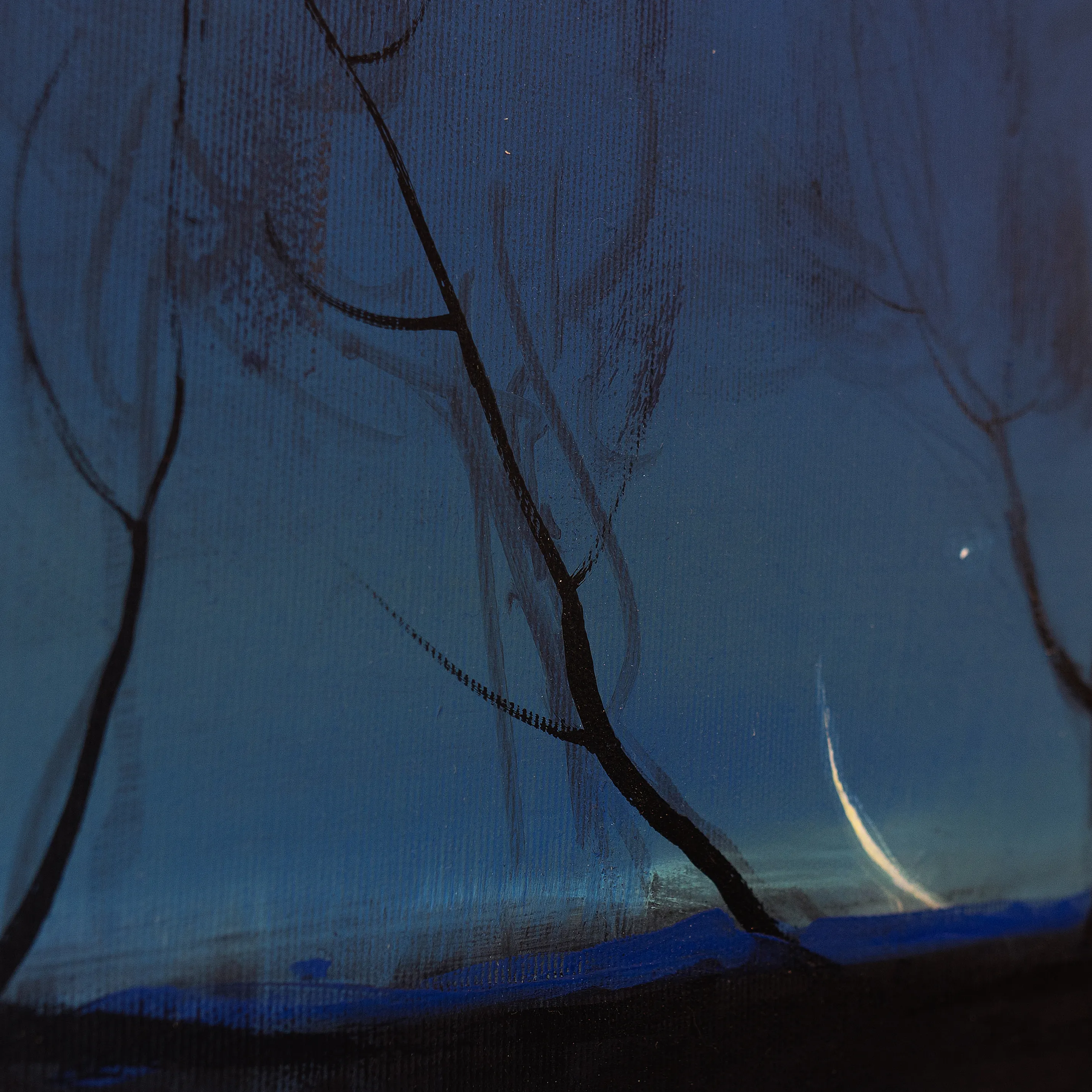 Image of Moon light by Igor Nekraga, size: 30х50, made of Acrylic on canvas, Painting medium, from Kyiv, part of the Acrylics series, priced at $400 Photo 3 of 4.