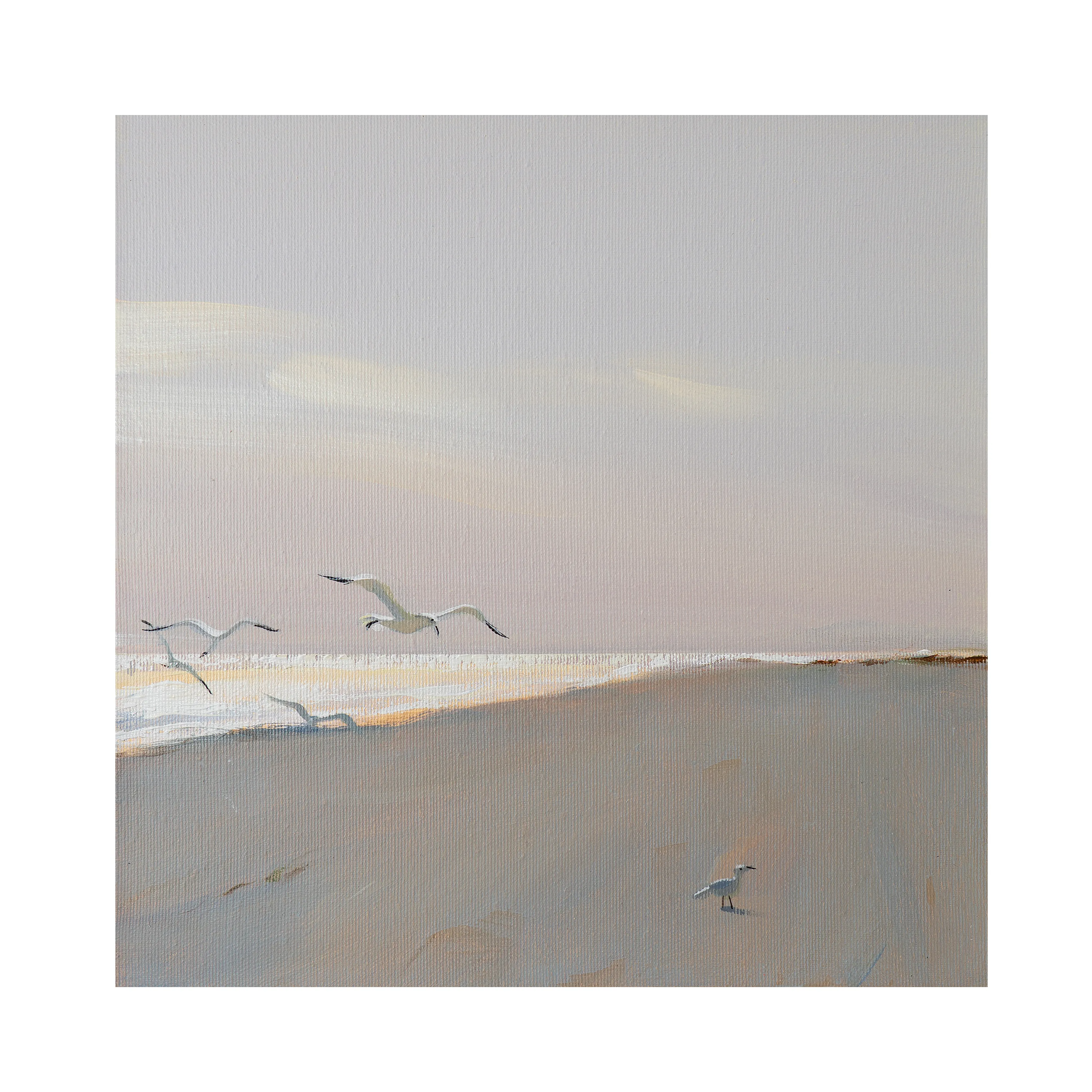 Image of The solitary seagull by Igor Nekraga, size: 30х30, made of Acrylic on canvas, Painting medium, from Kyiv, part of the Acrylics series, priced at $350 Photo 4 of 4.