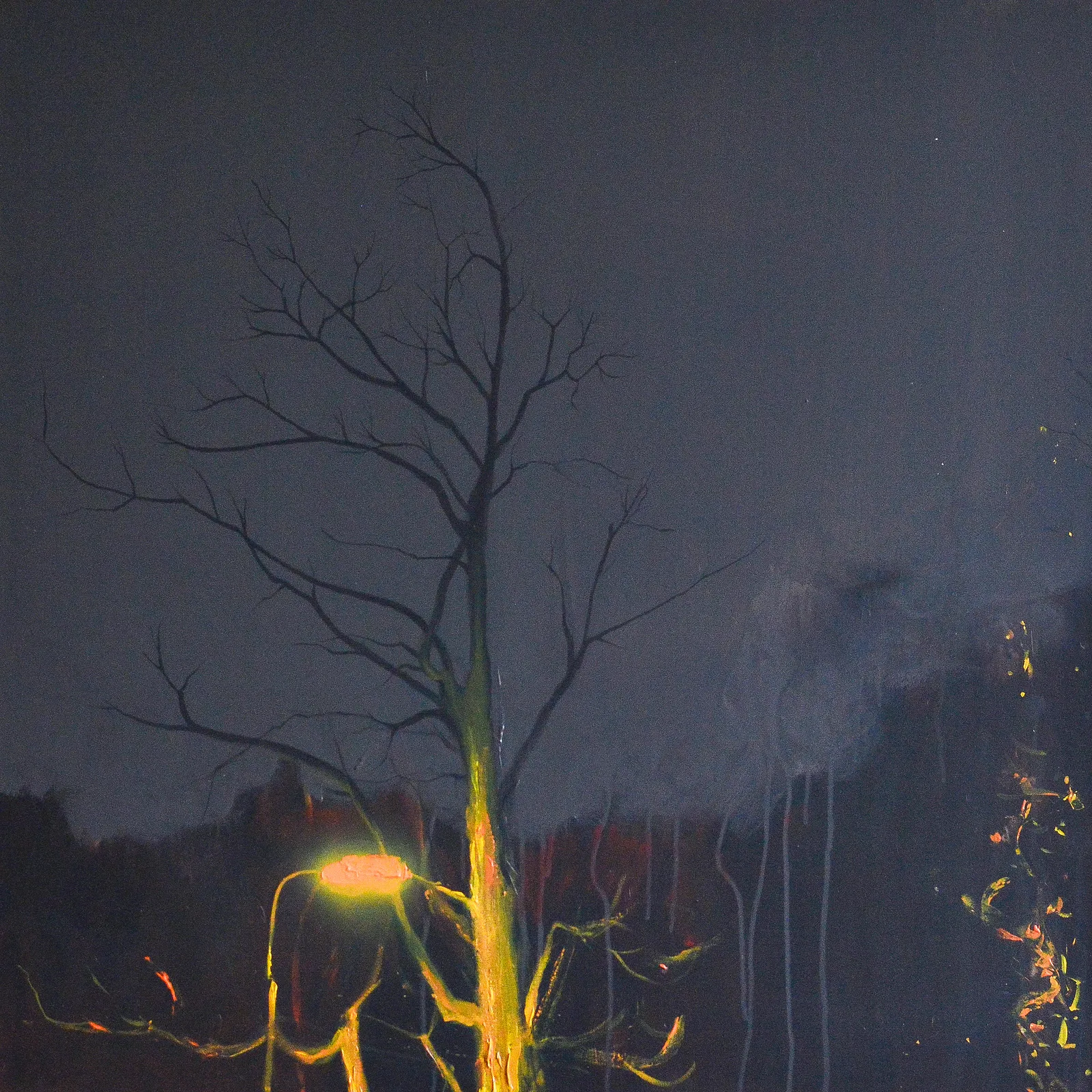 Image of Untitled by Igor Nekraga, size: 100x100, Painting medium, priced at $1500 Photo 2 of 2.