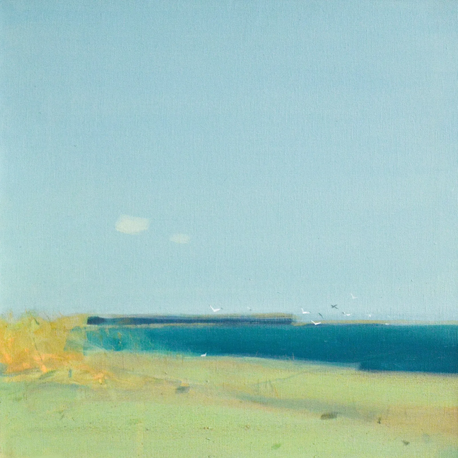 Зображення "Bessarabian lake" від Igor Nekraha, розмір: 40x40, матеріали: Acrylic on canvas, медіум: Живопис, місто: Україна, серія: Acrylics, ціна: $300 Фото 2 з 4.