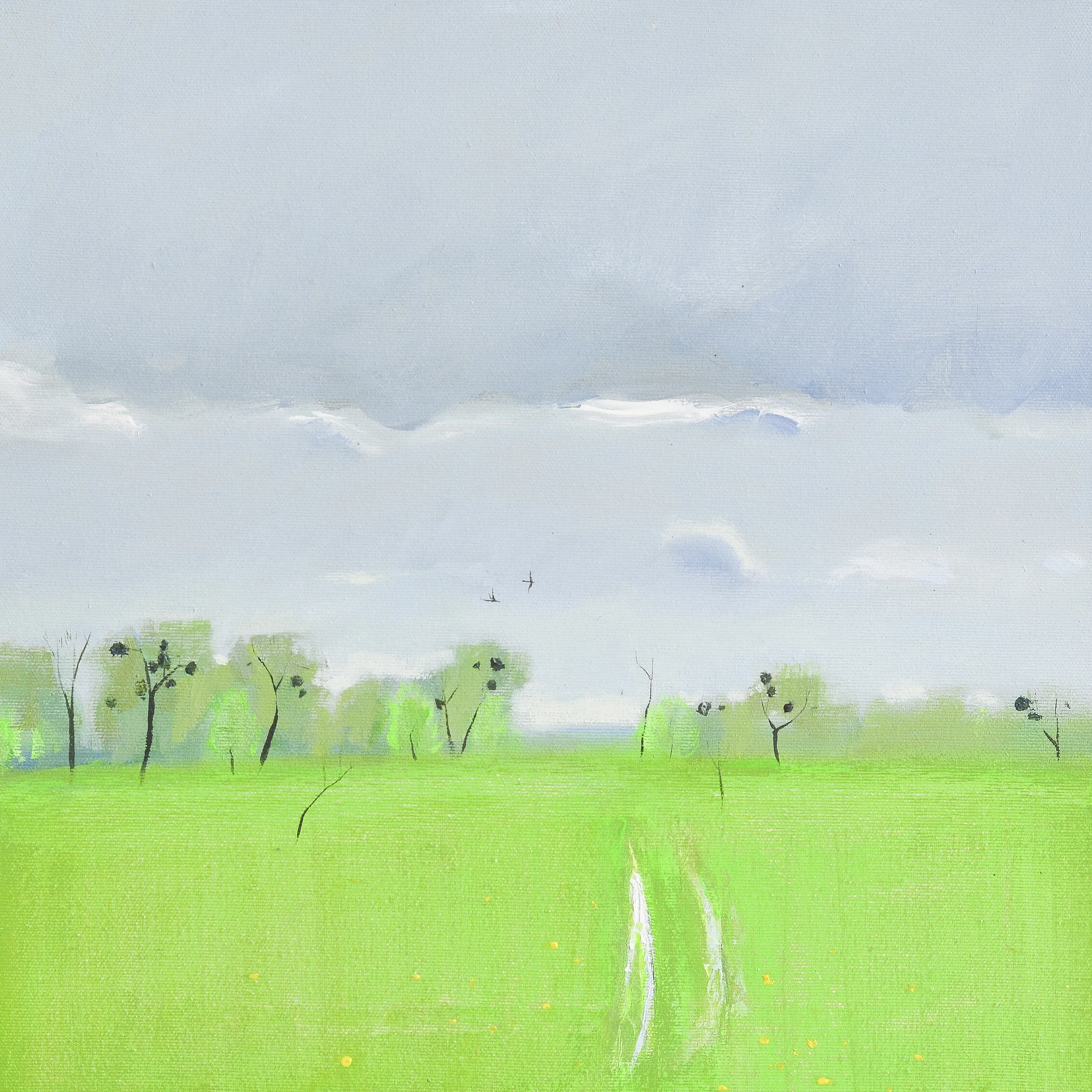 Зображення "April green" від Igor Nekraha, розмір: 40x40, матеріали: Acrylic on canvas, медіум: Живопис, місто: Ukraine, серія: Acrylics, ціна: $350 Фото 2 з 4.
