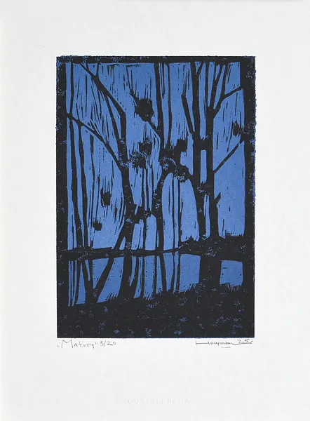Зображення "Matvey 3/20" від Igor Nekraha, розмір: 30x20, матеріали: Linocut, медіум: Графіка, місто: Ukraine, ціна: $150 Фото 2 з 3.