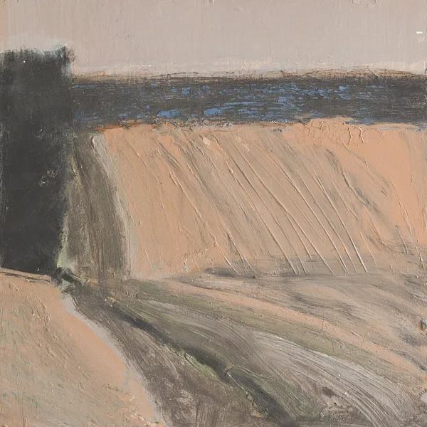 Зображення "Brown field" від Igor Nekraha, розмір: 30x30, матеріали: Acrylic on canvas, медіум: Живопис, місто: Ukraine, серія: Acrylics, ціна: $350 Фото 2 з 4.